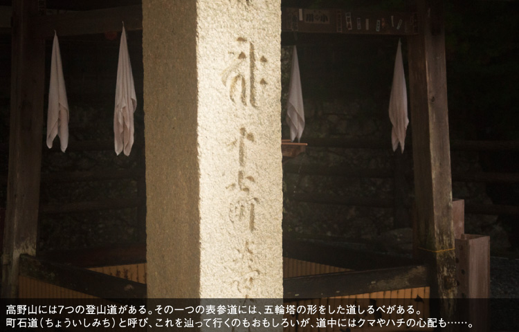 高野山には７つの登山道がある。その一つの表参道には、五輪塔の形をした道しるべがある。町石道（ちょういしみち）と呼び、これを辿って行くのもおもしろいが、道中にはクマやハチの心配も……。