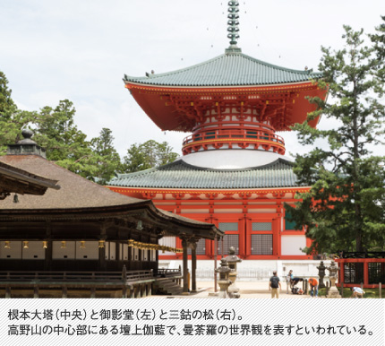 根本大塔（中央）と御影堂（左）と三鈷の松（右）。高野山の中心部にある壇上伽藍で、曼荼羅の世界観を表すといわれている。