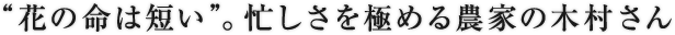 “花の命は短い”。忙しさを極める農家の木村さん