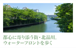 都内有数のウォーターフロントを歩く