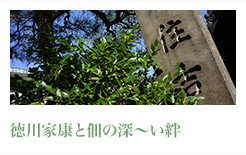 徳川家康と佃の深〜い絆