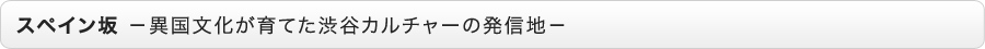 スペイン坂　-異国文化が育てた渋谷カルチャーの発信地-