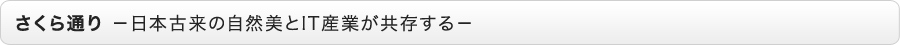 さくら通り -日本古来の自然美とIT産業が共存する-