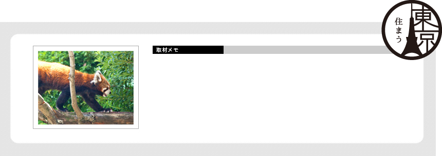 取材メモ
