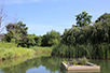 「西東京いこいの森公園」は自然観察池などもあって一日中楽しめる。