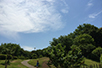 少し足を伸ばせば、「県立三ツ池公園」の澄んだ空が広がる。