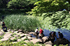 「県立三ツ池公園」や夏はプールで賑わう「菊名池公園」など、水辺で遊ぶ子どもをみかける。