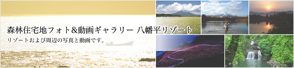 XяZntHg&M[ ][g ][gюӂ̎ʐ^ƓłB