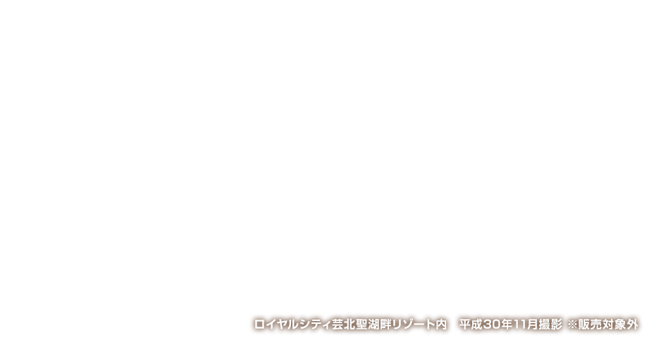 ロイヤルシティ芸北聖湖畔リゾート内 ／ 平成30年11月撮影 ※販売対象外