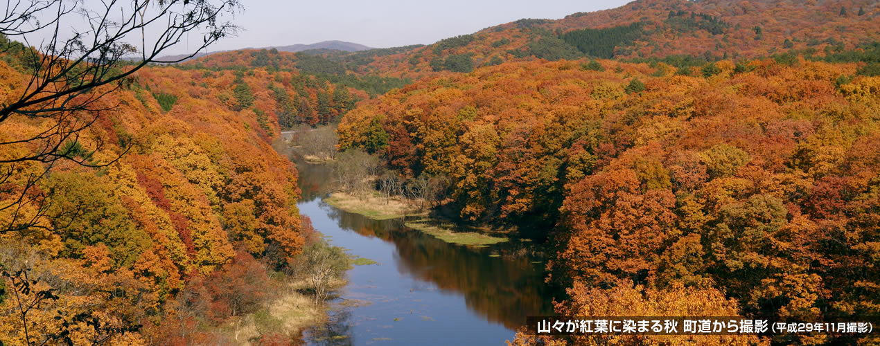 山々が紅葉に染まる秋　町道から撮影（平成29年11月撮影）
