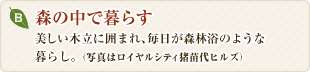 �X�̒��ŕ�炷�@�������ؗ��Ɉ͂܂�A�������X�ї��̂悤�ȕ�炵�B�i�ʐ^�̓��C�����V�e�B���c��q���Y�j