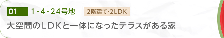 [01] 1-4-24号地　大空間のLDKと一体になったテラスがある家 2階建て・2LDK