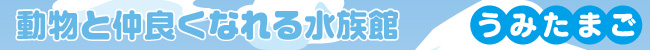 動物と仲良くなれる水族館　うみたまご