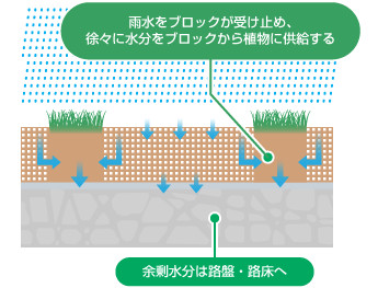 グラスパーキング断面図