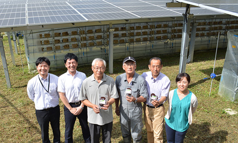耕作放棄地での農業と再生可能エネルギーの融合「ソーラーシェアリング」