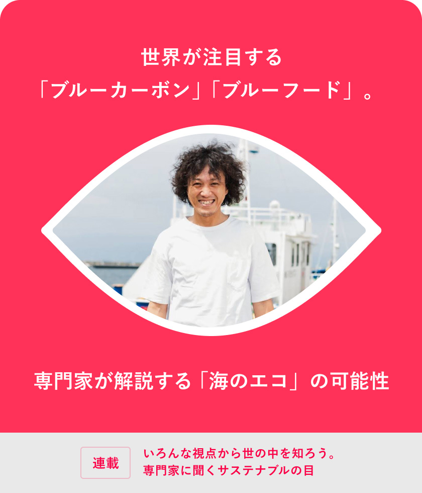 世界が注目する「ブルーカーボン」「ブルーフード」。専門家が解説する「海のエコ」の可能性