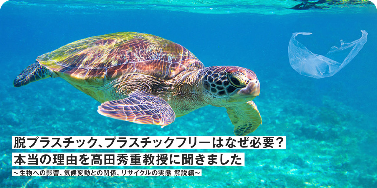 脱プラスチック、プラスチックフリーはなぜ必要？本当の理由を高田秀重教授に聞きました