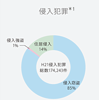 侵入犯罪 *1