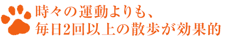 時々の運動よりも、毎日2回以上の散歩が効果的