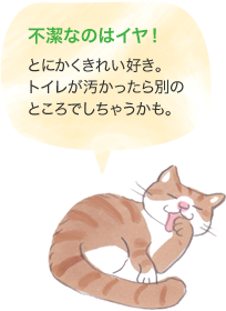 不潔なのはイヤ! とにかくきれい好き。トイレが汚かったら別のところでしちゃうかも。