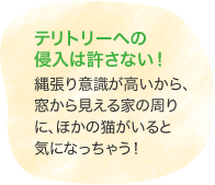 テリトリーへの侵入は許さない! 縄張り意識が高いから、窓から見える家の周りに、ほかの猫がいると気になっちゃう!