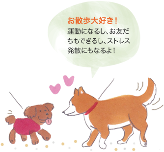お散歩大好き! 運動になるし、お友だちもできるし、ストレス発散にもなるよ!