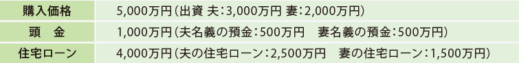 [購入価格]5,000万円（出資 夫：3,000万円 妻：2,000万円） [頭金]1,000万円（夫名義の預金：500万円　妻名義の預金：500万円）[住宅ローン]4,000万円（夫の住宅ローン：2,500万円　妻の住宅ローン：1,500万円）