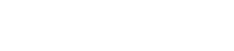 Report 02