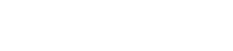 Report 03