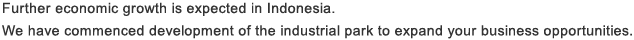 Further economic growth is expected in Indonesia. We have commenced development of the industrial park to expand your business opportunities.