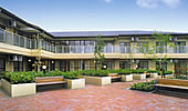 Commercial Construction