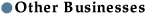 Other Businesses