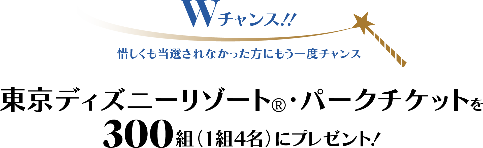 Wチャンス！！惜しくも当選されなかった方にもう一度チャンス 東京ディズニーリゾート®・パークチケットを300組（1組4名）にプレゼント！