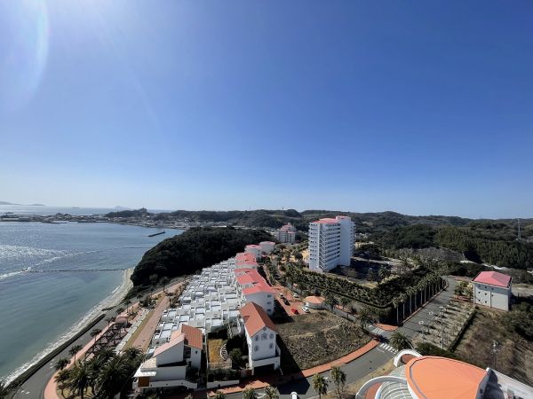 その他  写真撮影日：2024-03-11