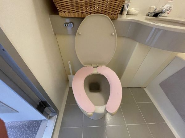トイレ  写真撮影日：2024-03-11