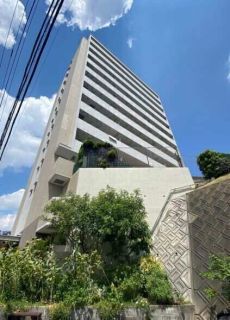 12階建の2階部分、南東角部屋につき陽当り・通風良好な住まい。ペット飼育可能です(飼育細則有り)。