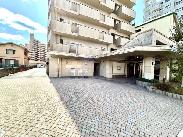 その他  写真撮影日：2024-11-29