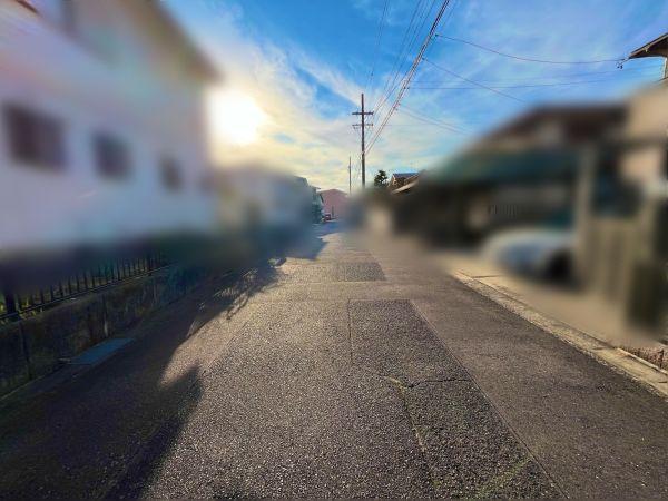 その他  写真撮影日：2025-03-02