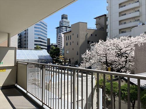 バルコニーからの眺望－１