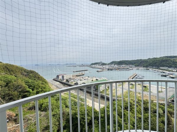 その他  写真撮影日：2025-05-01