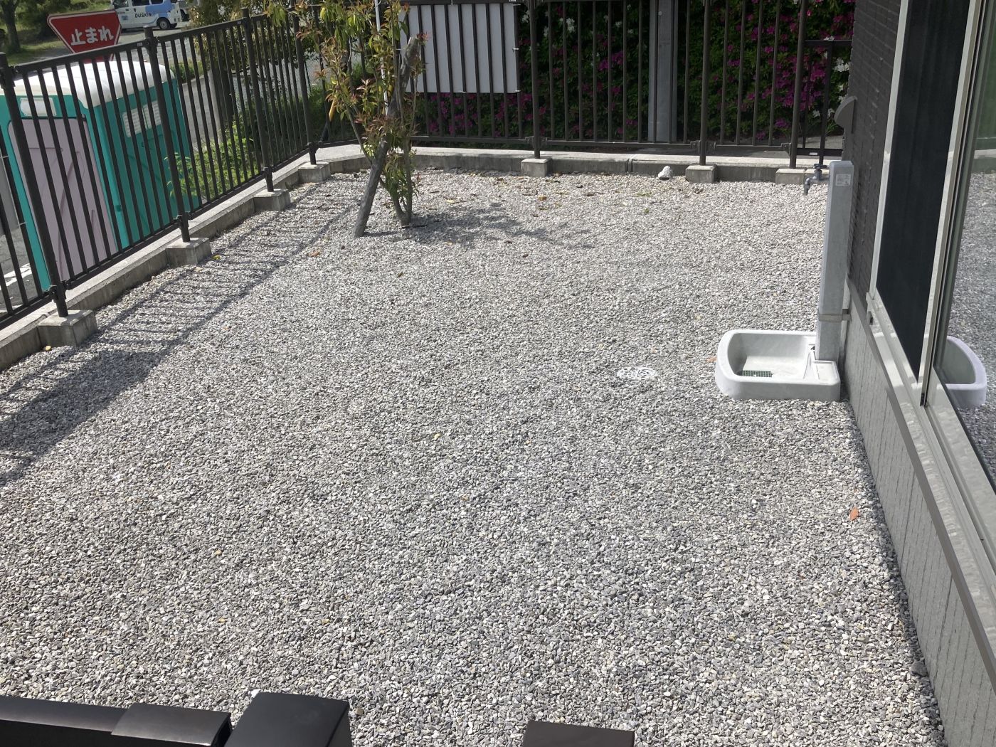 お庭 写真撮影日：5/1/25, 12:00 AM