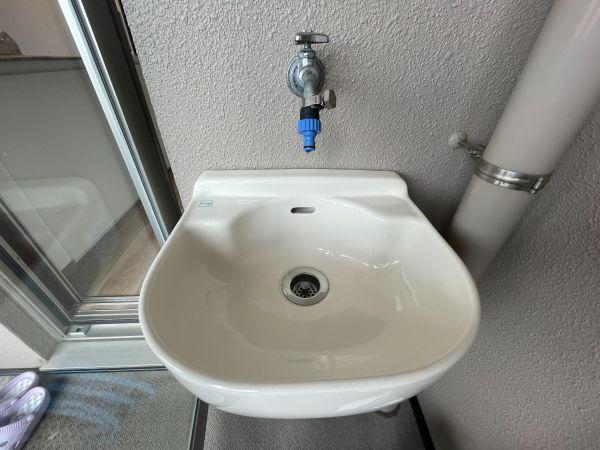 その他  写真撮影日：2025-05-16