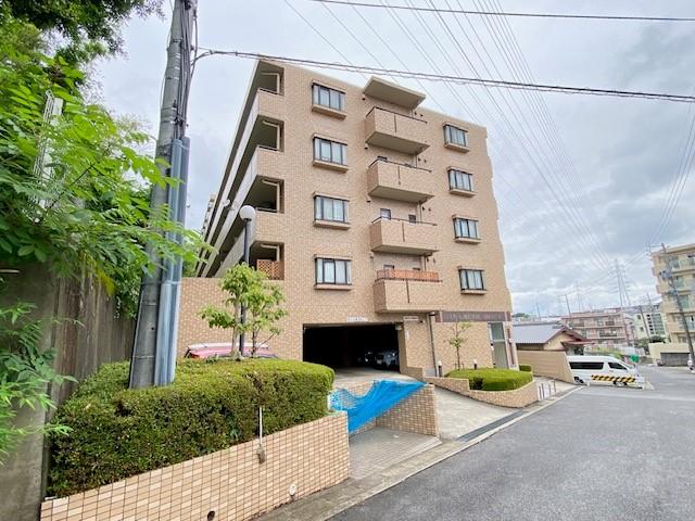 その他現地  写真撮影日：2025-06-15