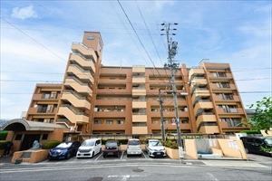 現地写真（２０２５年６月撮影）