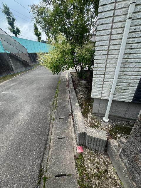 その他設備 前面道路  写真撮影日：2025-06-13
