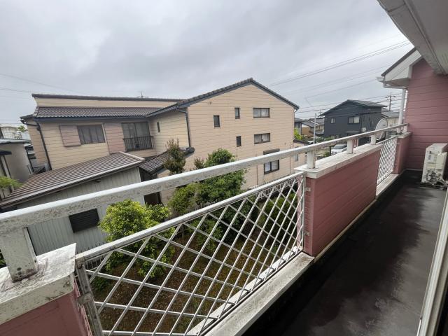 その他  写真撮影日：2025-05-15