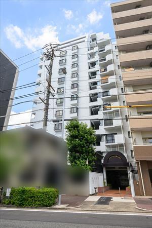 現地写真（２０２５年７月撮影）