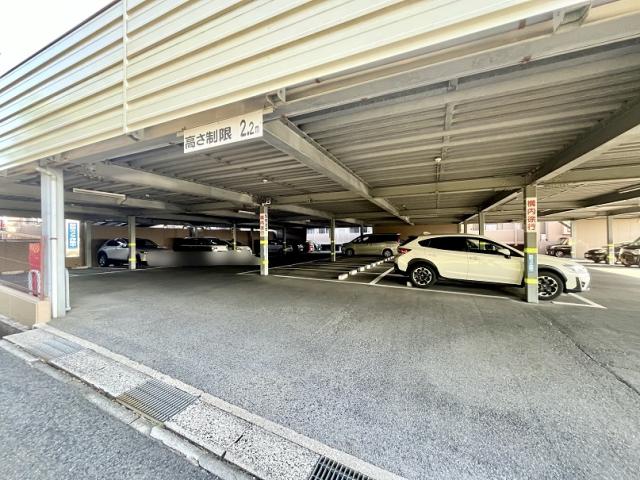 駐車場(共用設備)  写真撮影日：2025-09-01