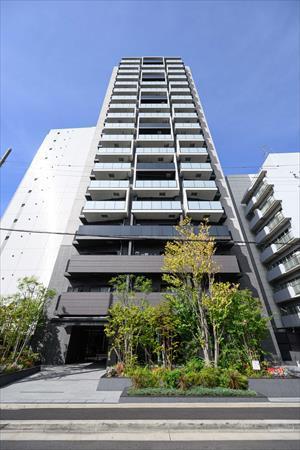 現地写真（２０２５年９月撮影）