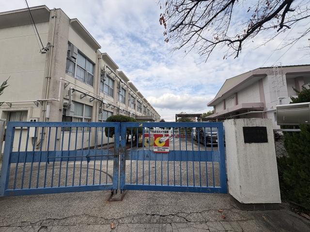 名古屋市立守山小学校 910m 写真撮影日：2025-11-27